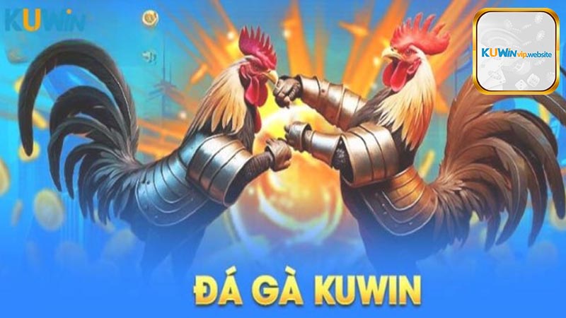 Tổng quan về đá gà Kuwin